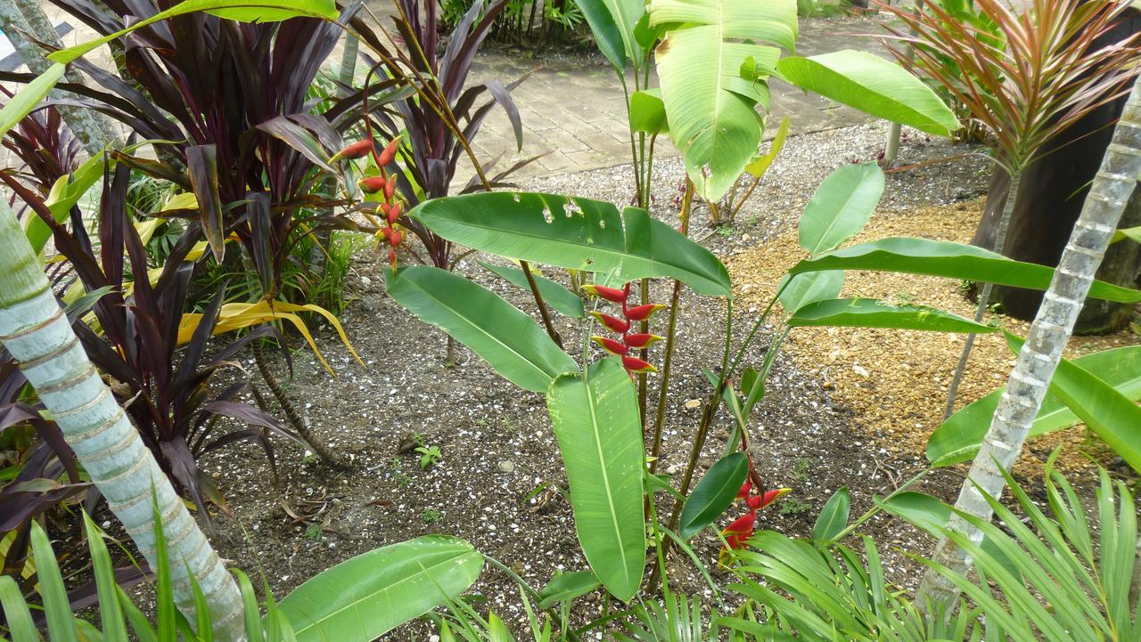 Kekemba Apartments Paramaribo Eksteriør bilde