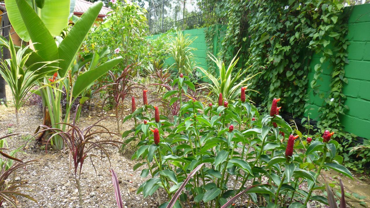 Kekemba Apartments Paramaribo Eksteriør bilde